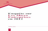 Enquête sur Les Micro Entreprises en 2012 - INS · 2016-09-06 · Statistiques Tunisie 7 ABREVIATION BIT : Bureau International du Travail CA : Chiffre d’Affaires CTP 2002 : Classification