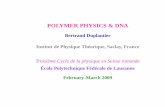 POLYMER PHYSICS & DNA - physique.cuso.ch€¦ · POLYMER PHYSICS & DNA Bertrand Duplantier Institut de Physique Théorique, Saclay, ... ∂x2 x2 t ∞ ∞ x2P x t dx 2Dt ... Polymer