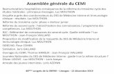 Assemblée générale du CEMI - Société Nationale de ... - 12122019-def.pdf · • A la demande du syndicat des internes en MG: décision de ne plus mettre de poste de DES de MG