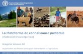 La Plateforme de connaissance pastoralevsf-international.org/wp-content/uploads/2016/01/Pr... · 2016-01-14 · Atelier régional sur le développement durable du pastoralisme et