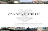 CAVALERIE - UNABCC Cavalerie+0آ  SERVAL e2, armأ©e en grande majoritأ© par la 6 BLB أ  la tأھte de laquelle