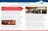 PRINTEMPS 2017 SYNAPSE - CCNA-CCNVccna-ccnv.ca/wp-content/uploads/2016/10/Synapse-E...réseauter efficacement lors de conférences, et « Le parcours de carrière non universitaire