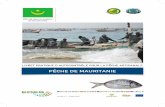 PÊCHE DE MAURITANIE - peches.gov.mr · République islamique de Mauritanie dispose d’une ressource halieutique importante et variée. C’est ainsi que les activités de pêche