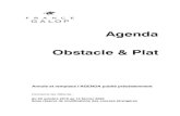Agenda Obstacle & Plat - France Galop · Lundi 21 octobre 2019 Engagements Marseille-Borély, 28 octobre 2019 Boulogne, 10 h 30 ... O 4358 • Chambre de Commerce et d’Industrie