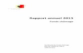 Rapport annuel 2013 - GENEVE€¦ · Présentation des projets soutenus par le Fonds chômage p. 4.1 ... le chômage en 2008 et l’abandon des emplois tempo aies cantonaux, une importante