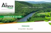 PERIGORD 20 mai 2019 – Mussidan - Alliance Forêts Bois · Technologie drone SYLVICULTURE Développer une offre de plants Travaux avec les instituts de recherche Grand plan de reboisement