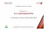 Chapitre 3 : Le cytosqueletteChapitre 3 : Le cytosquelette Professeur Daniel SEIGNEURIN Histologie - Etude de la cellule PCEM1 - Année universitaire 2007/2008 Faculté de Médecine
