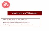 Introduction aux Websockets - Page d'accueil / Lirmm.fr / - lirmmtibermacin/ens/ws/expose.pdf · 2017-03-02 · Clients de Websockets Théoriquement, un client peut être écrit dans
