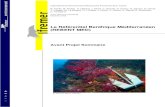 Le Référentiel Benthique Méditerranéen (REBENT MED ...envlit.ifremer.fr/.../27387/222312/file/Rebent_Mediterranee_APS.pdf · Résumé : L’avant projet sommaire du REBENT Méditerranée