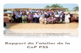 Rapport de l'atelier de la CoP PSS - Health 4 Africa · district sanitaire en Afrique Sub-saharienne et l'autre sur le système d'information sanitaire capabilisant. Certains membres