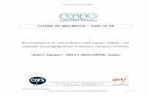 CAHIER DE RECHERCHE : 2008 -06 E5 Reconnaissance et ...cerag.in2p3.fr/sites/default/files/cr 2008 06 E5.pdf · Lesca et Kriaa-Medhaffer Reconnaissance et interprétation des signaux