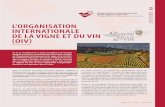 L'ORGANISATION INTERNATIONALE DE LA VIGNE ET DU VIN (OIV)oiv2019.ch/2019/wp-content/uploads/2019/05/n90_dossier... · 2019-05-22 · • les raisins de tables et les raisins secs