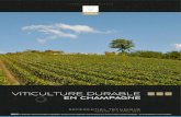 VITICULTURE DURABLE en champagne©férentiel Viticulture... · Il y a maintenant treize ans que la démarche de viticulture durable a été lancée dans notre vignoble. Les enjeux