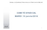 COMITÉ SYNDICAL MARDI 19 janvier2016 - AUTBscotbelfort.autb.fr/Doc/presentation_cs_19_01_16.pdf · Renouvellement des membres du CDNPS 3. Orientations budgétaires 2016 5. Questions