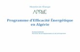 Programme d’Efficacité Énergétique en Algérie · Les projets seront réalisés en trois phases. 1ere phase, à 2015 ... Phase finale, 2020-2030 •Déploiement à grande échelle.