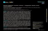 Serine-Arginine Protein Kinase 1 Regulates Ebola Virus Transcription · Serine-Arginine Protein Kinase 1 Regulates Ebola Virus Transcription Yuki Takamatsu,a,d Verena Krähling, a,bLarissa