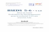 BSEDS 5 6 - CogniSciences · Groupe Cogni-Sciences Labo atoi e des Sciences de l’Education – Grenoble BSEDS (V4.0) – 2011 I.3 La qualité des données est le fruit du travail