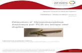 Détection d’ Hymenoscyphus fraxineus par PCR en …PCR (Polymerase Chain Reaction), RT-PCR (Reverse Transcription-PCR) et PCR temps réel. Détection des organismes phytopathogènes
