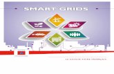SMART GRIDS - Polénergie€¦ · solutions de stockage à tous les niveaux du réseau ou en préparant l’introduction du véhicule électrique. Développer les solutions de demain:
