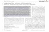 Magnetoactive Acoustic Metamaterials - University of Missouri · Acoustic metamaterials with negative constitutive parameters (modulus and/ or mass density) have shown great potential