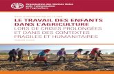 NOTE D’ORIENTATION DE LA FAO LE TRAVAIL DES ...Le travail des enfants dans l’agriculture lors de crises prolongées et dans des contextes fragiles et humanitaires - version pilote.