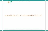 ANNEXE AUX COMPTES 2019 · 2020-06-19 · campagnes digitales - Développement de l’offre de formation des équipes salariées au siège - Mise en place d’un contrôle de gestion