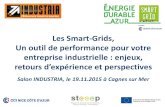 Les Smart-Grids, Un outil de performance pour votre entreprise …le-be.fr/wp-content/uploads/2015/12/151117-Club-Smart... · 2015-12-11 · Les « Smart Grids » -réseaux intelligents-