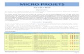 MICRO PROJETSsesamebox.fr/iut/a2i/Micro-Projet-C.pdf · fonctionnement du programme, son architecture et les principaux algorithmes, le ou les grafcets et également un document d'aide