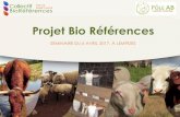 Projet Bio Références · Traitement des données de l’Agence Bio 872 systèmes ruminants diversifiés (DIV) = 20% des producteurs en AB du Massif Central Surface moyenne : 84