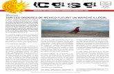 Mexique Sur leS ordureS de Mexico fleurit un …...album/145/145#photo=7 MenSuel de la MaiSon de l’aMerique latine Seul asbl BELGIQUE BELGIE P.P 1050 BRUXELLES 1/6098 N 99 FÉVRIER