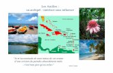 Les Antilles : un archipel - interface sous influencelaeti.perrierbrusle.free.fr/seance_4.pdfLa frontière de Saint-Martin plutôt discrète POURTANT sous une apparente tranquillité