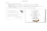 Rituels - blogs.ac-caen.fr...Coller ces formes en les alternant sur le support final. 2) Réaliser les tangrams du kangourou, de l’émeu et du serpent (au moins deux animaux). Les