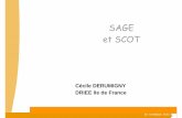 SAGE et SCOT - DRIEE Ile-de-France · l’environnement dans le projet arrêté de SCOT Points positifs soulevés dans les avis de l’AE > par thématiques ... Fiche 2 . 26 novembre