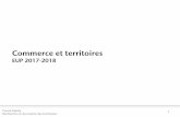 Commerce et territoires - Territoires et commerceterritoiresetcommerce.fr › ... › 2017 › 03 › Cours-DETER-4.pdf · - Loi « Dutreil » (2 août 2005) Instauration de périmètres