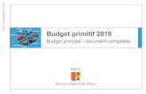Budget principal Budget primitif 2019 · B3 – Prêts x B4 – État des charges transférées x B5 – Méthodes utilisées pour les amortissements x ... D201 PATRIMOINE CULTUREL