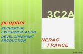 3C2A - Agroforesterie - Association Française · POPULUS ALBA Nous disposons d’un stock de lignées parentales mâles et femelles pour continuer la recherche. Avancée de la Recherche