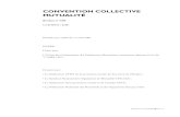 CONVENTION COLLECTIVE MUTUALITE´cgtfmpurmf.g.c.f.unblog.fr/files/2015/10/ugem_ccn_05-2013.pdf · MUTUALITE´ Brochure no 3300 Co de IDCC: 2128 E´tendue par arreˆte´du 17 aouˆt
