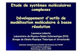 Etude de systèmes moléculaires complexes Développement d ... · [Leherte et al., in: “Quantum Theory of Atoms in Molecules - From Solid State to DNA and Drug Design”, Eds C.