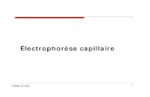 Électrophorèse capillaire - ESIbadiaa/CHM3102_CE1a.pdf · Notions de base – électro-osmose La silice fondue (SiO 2.H 2O) possède des groupements silanols ionisables lui confèrant