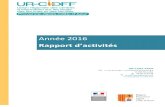 Année 2016 Rapport dativités - CIDFF PACApaca-fr.cidff.info/files/2017/07/rapport_d_activite_2016_urcidff_paca... · partenariat régional de longue durée sur les questions de