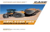 DÉPLACER DES MONTAGNES - CNH Industrial › casece › emea › assets › pdf › ... · 2018-04-20 · DÉPLACER DES MONTAGNES. 2 EXPERTS FOR THE REAL WORLD SINCE 1842 ... PROTECTIONS