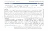 Modulation of Magnetoresistance Polarity in BLG/SL-MoSe2 … · 2020-06-22 · NANO EXPRESS Open Access Modulation of Magnetoresistance Polarity in BLG/SL-MoSe2 Heterostacks Muhammad