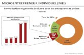 MICROENTREPRENEUR INDIVIDUEL (MEI) · 2014-11-13 · AGROAMIGO Programme de Microfinance Agraire de la Banque du Nordeste (Agroamigo) Encourage le développement des activités productives