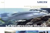 Lettre européenne d’information€¦ · Malgré l’importance des océans et de ses ressources et services pour la vie humaine, la conservation et l’utilisation durable des
