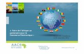 Faire de l’Afrique un partenaire pour le Commerce Electronique » Forum OCI ... AACE CASA... · 2016-06-21 · Commerce Electronique » Forum OCI, Casablanca, ... PRESENTATION 2.