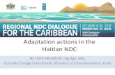 Adaptation actions in the Haitian NDC€¦ · 1997 -2016 • Foret: ... intelligente Résilience des zones côtières Résilience des villes et des infrastructures Aménagement du