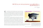 SETCa et structures syndicales : quel futur › crisp › wp-content › uploads › analyses › 2012-12-15_S… · au niveau des fédérations professionnelles. ... notamment dans