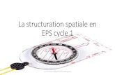 La structuration spatiale en EPS cycle 1 · La structuration spatiale en EPS cycle 1 •C'est la capacité de se situer, de s'orienter, de s'organiser, ... •La notion d'espace s'acquiert