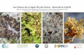 Les lichens de la région Île-de-France, diversité et intérêt · Les lichens de la région Île-de-France : diversité et intérêt Agence régionale de la biodiversité Île-de-France
