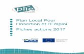 Plan Local Pour l’Insertion et l’Emploi Fiches actions 2017€¦ · public éloigné de l’emploi et de faible niveau de qualification (demandeurs d’emploi de longue durée,